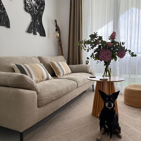 Apartman En Mogro. La Pizca. *